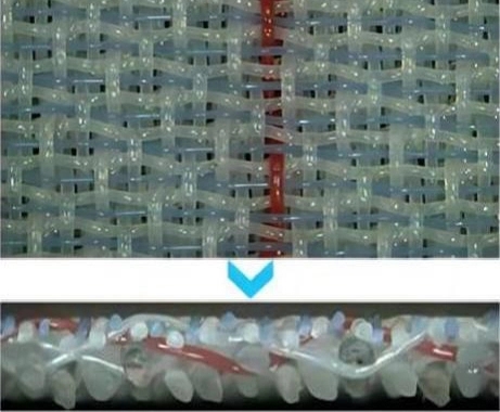 Cấu trúc-form-form-form-form-form-forming_